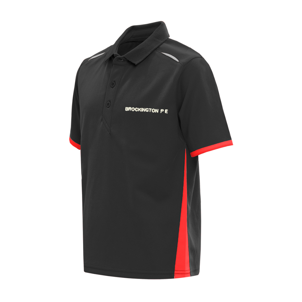 Brockington PE Polo, Brockington College Secondary School