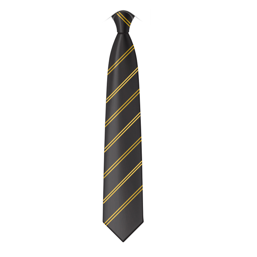 Kingsbury Tie, Kingsbury School