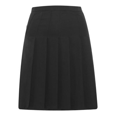 Designer Pleated Skirt, Brockington College Secondary School