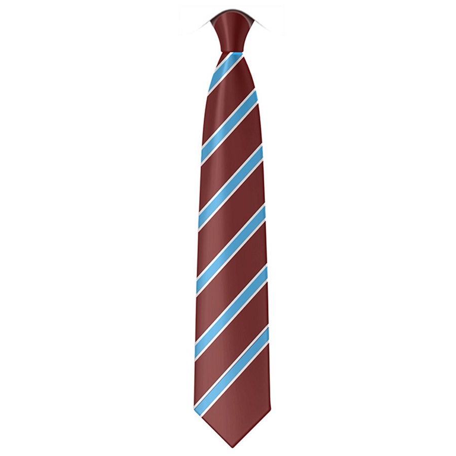 ST ANNES TIE, St Anne's Catholic Primary School