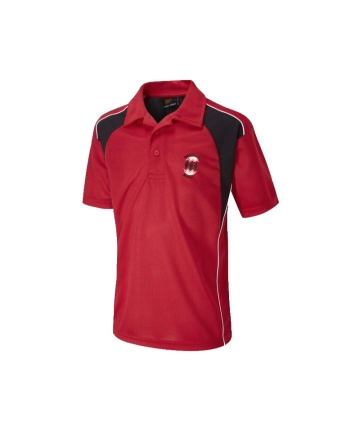 Higham lane YR 7 PE Polo, Higham Lane School
