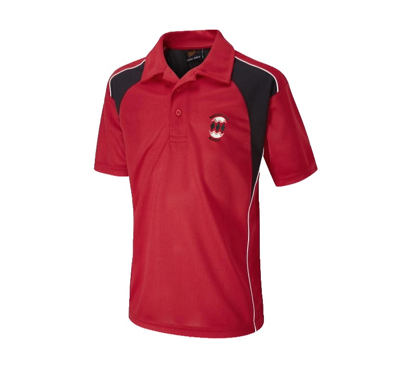 Higham lane YR 7 PE Polo, Higham Lane School