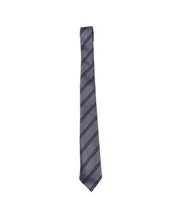 MILBY STANDARD TIE, Milby Primary School