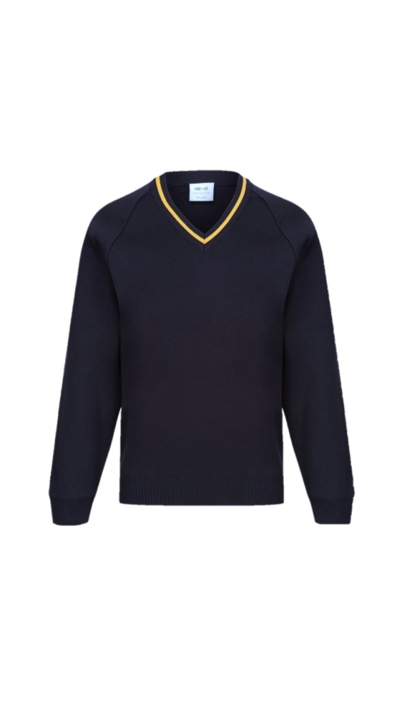 HIGHAM LANE NORTH V NECK JUMPE, Higham Lane North Academy